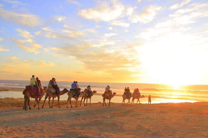 Beach Camel Ride and Encounter in Cabo - The extra $25 fee and the real price