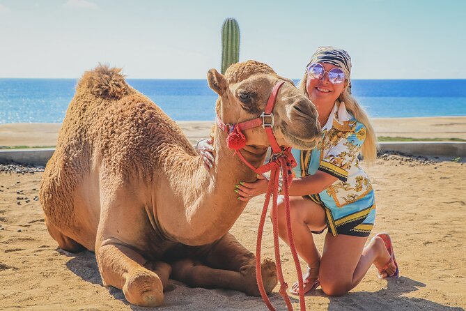 Beach Camel Ride and Encounter in Cabo - Photos, phones, and the extra-cost problem
