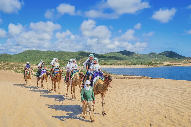 Beach Camel Ride and Encounter in Cabo - Who will enjoy this Cabo excursion