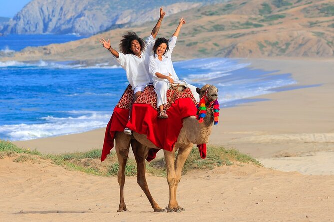 Beach Camel Ride and Encounter in Cabo - What the guides add to the experience