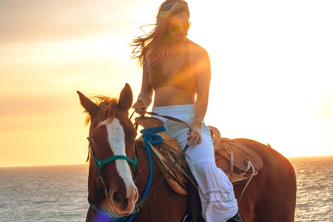 Beach Camel Ride and Sky Bike in Cabo - What the $125 price really buys
