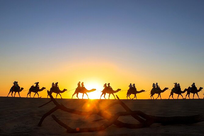 Beach CAN-AM SXS X3 and Camel Ride in Cabo - Why this Cabo outing feels different
