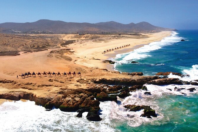 Beach CAN-AM SXS X3 and Camel Ride in Cabo - Migriño Beach and the Pacific shore