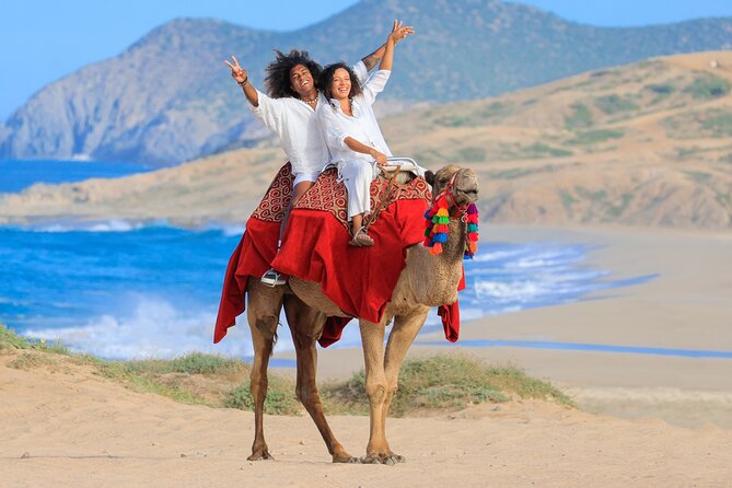 Beach CAN-AM SXS X3 and Camel Ride in Cabo - The camel encounter and beach ride