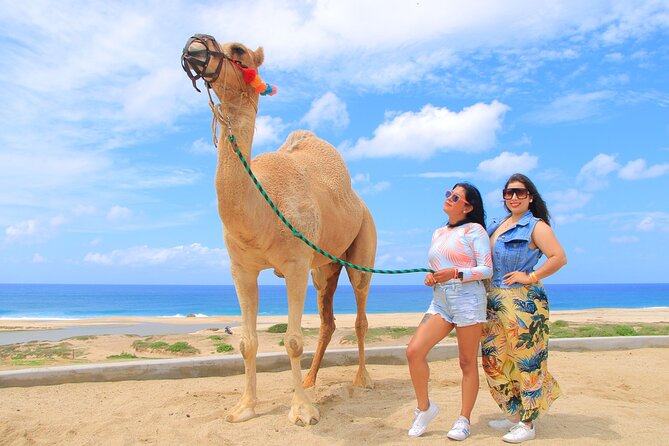 Beach CAN-AM SXS X3 and Camel Ride in Cabo - What the price really includes