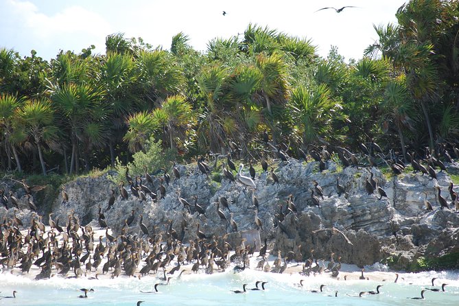 Beach Escape: Isla Contoy and Isla Mujeres with Snorkeling. - Is $169 a fair price?