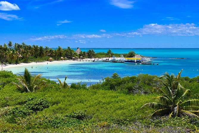 Beach Escape: Isla Contoy and Isla Mujeres with Snorkeling. - The morning begins before sunrise