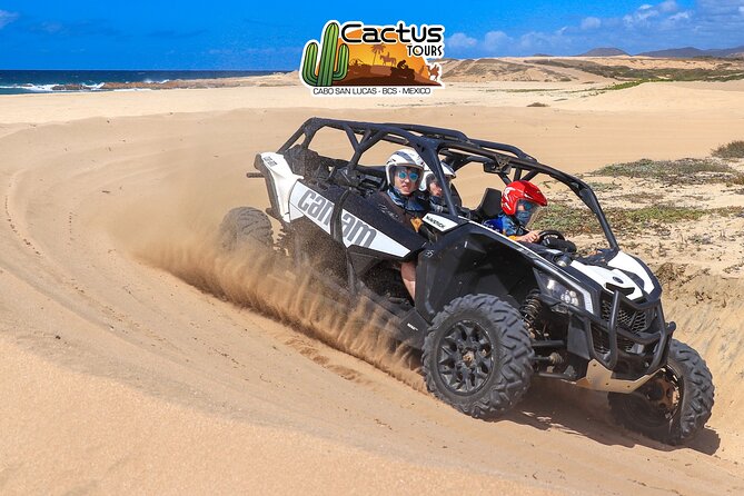 Beach UTV Adventure with Free Camel and Horseback Ride - Three ways to see Baja in one outing
