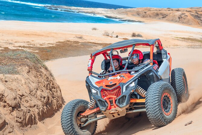 Beach UTV and Camel Ride Combo in Cabo - Who will enjoy this Cabo outing most