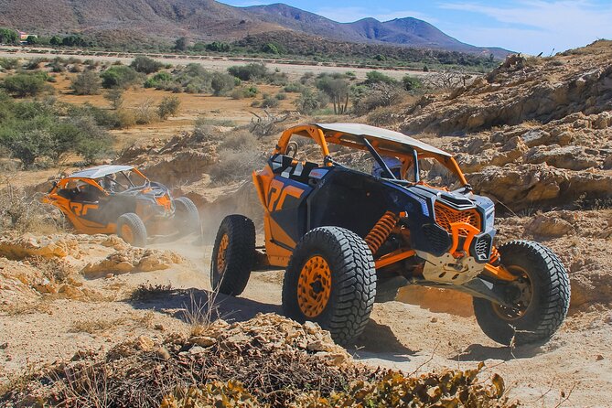Beach UTV and Camel Ride Combo in Cabo - Hotel pickup and the first steps at Cactus Tours