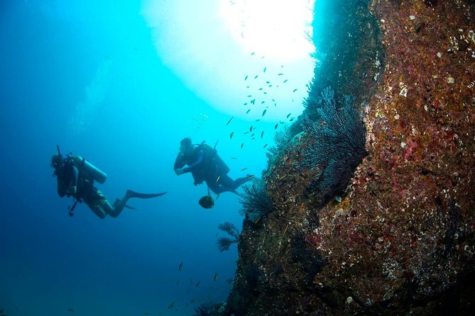 Beginner Scuba Diving in Cabo San Lucas - Starting at Manta Scuba Diving in Cabo’s marina
