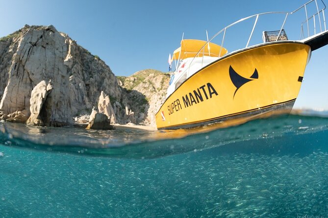 Beginner Scuba Diving in Cabo San Lucas - A close look at the two planned stops