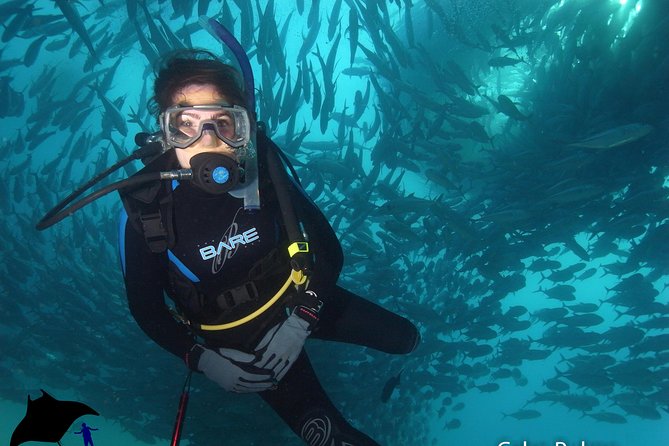 Beginner Scuba Diving in Cabo San Lucas - What the $142 price really covers