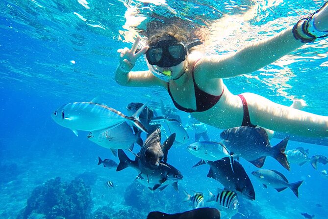 Best Cozumel Day Pass San Francisco Beach Club - Is the $20 price a good deal?