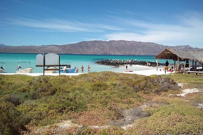 Best Tour to Coronados Island - Lunch, drinks, and the practical value of the $122.20 price