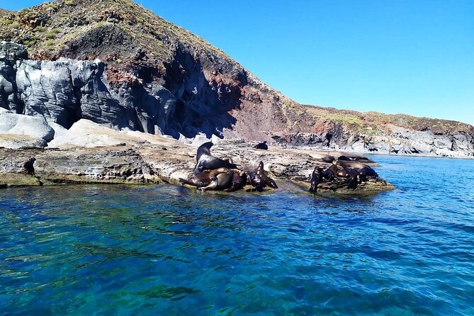 Best Tour to Coronados Island - How the crew handles wind and changing plans