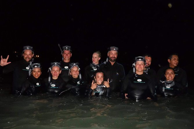 Bioluminescence Experience in Holbox - Walking to the sea or mangroves