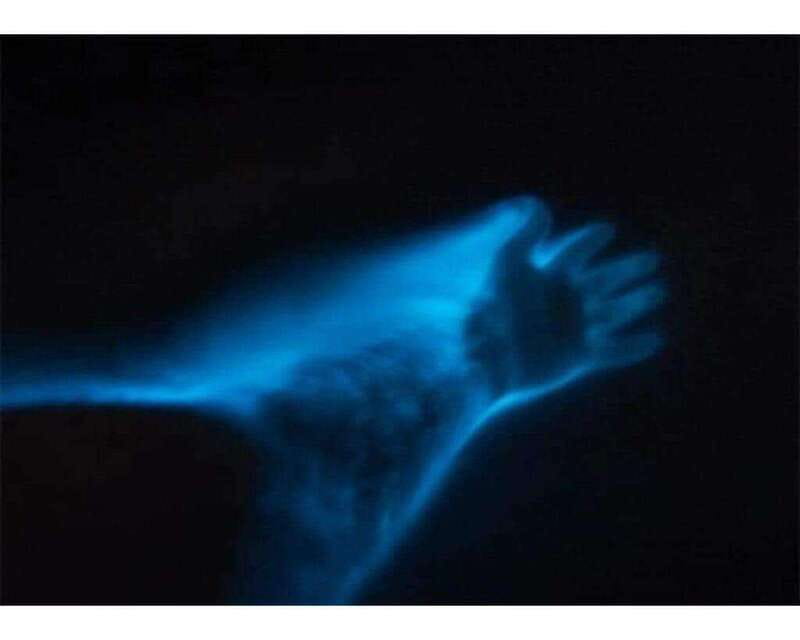 BIOLUMINESCENCE IN PUERTO ESCONDIDO - Is $57 a fair price?