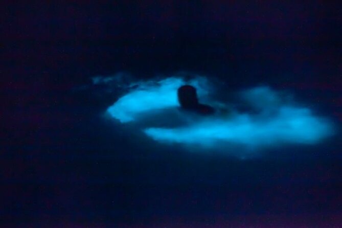 Bioluminescence & sunset local boat tour to Los Arcos Sanctuary - From Margarita Grill to the Pacific at sunset