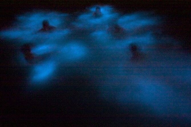 Bioluminescence & sunset local boat tour to Los Arcos Sanctuary - Who will enjoy this Puerto Vallarta tour?