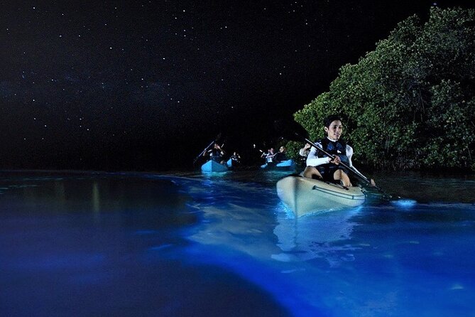 Bioluminescence Tour in Kayak in Holbox Island - What happens at Punta Mosquito after dark