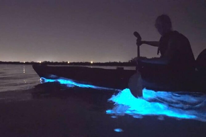 Bioluminescence Tour in Kayak in Holbox Island - Guides can make or break the evening