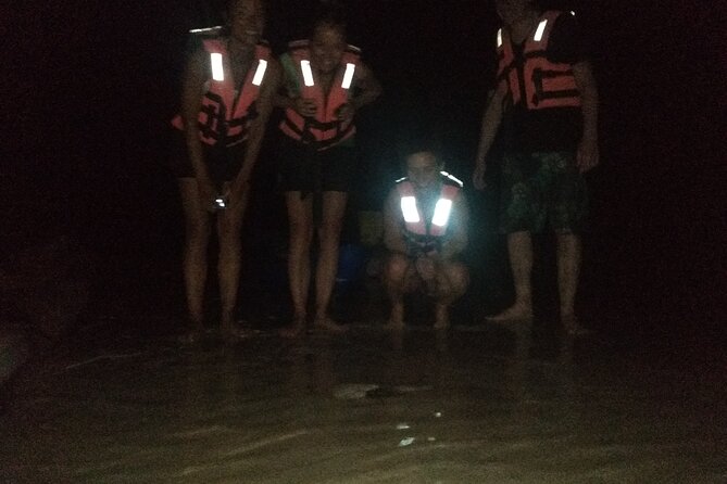 Bioluminescence Tour in Kayak in Holbox Island - Should you book the Holbox bioluminescence kayak tour?
