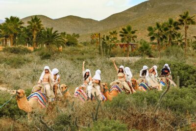 Boat Ride to the Arch and Beach Camel Ride in Cabo San Lucas