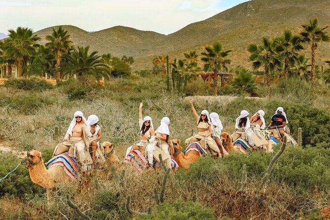 Boat Ride to the Arch and Beach Camel Ride in Cabo San Lucas - The fast boat to Cabo’s Arch