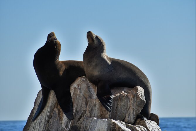 Boat ride to the Arch and Snorkel - Seeing Land’s End from the water