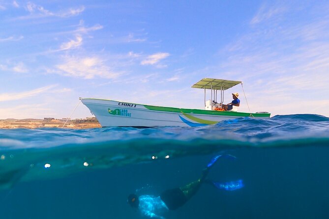 Boat ride to the Arch and Snorkel - Getting back on the boat