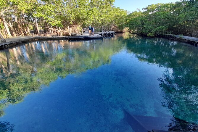 Boat Tour of Three Islands in Holbox with Transportation - Who will enjoy this boat trip most?