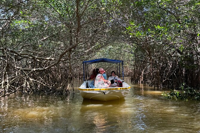 Boat tour through the mangroves of Celestún and Playa from Merida - Key points at a glance