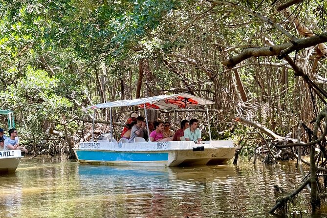 Boat tour through the mangroves of Celestún and Playa from Merida - The main risks to your enjoyment
