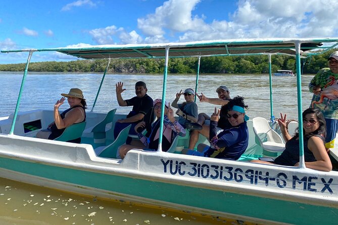 Boat tour through the mangroves of Celestún and Playa from Merida - Is the $105.56 price good value?