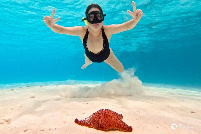 Boat Tour to Heaven in Cozumel with Ceviche - What the Cozumel boat trip is really like