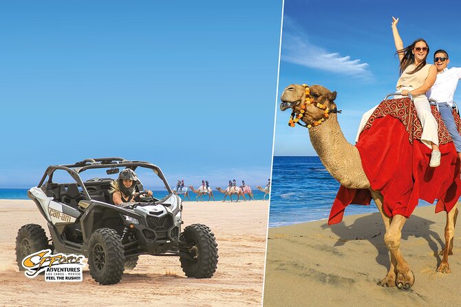 Cabo Adventure: Can-Am X3 Ride & Camel Beach Tour - Key points at a glance
