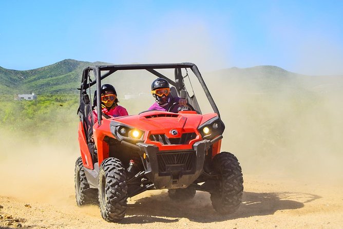 Cabo Adventure: Can-Am X3 Ride & Camel Beach Tour - Why the Can-Am and camel combination works