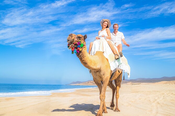 Cabo Adventure: Can-Am X3 Ride & Camel Beach Tour - The Pacific camel ride and animal encounter