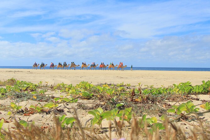 Cabo Adventure: Can-Am X3 Ride & Camel Beach Tour - How the group size changes the experience
