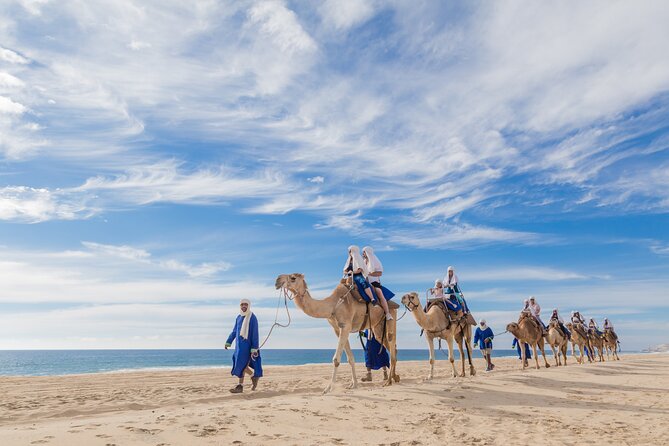 Cabo Beach Camel Ride, Mexican Buffet and Tequila Tasting - What the Cabo camel safari actually includes