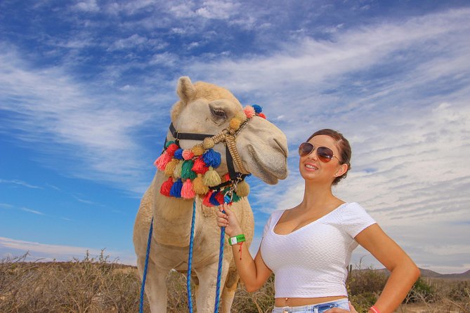 Cabo Beach Camel Ride, Mexican Buffet and Tequila Tasting - The camel ride lasts about 20 to 25 minutes