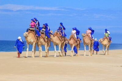 Cabo Beach Camel Ride, Mexican Buffet and Tequila Tasting