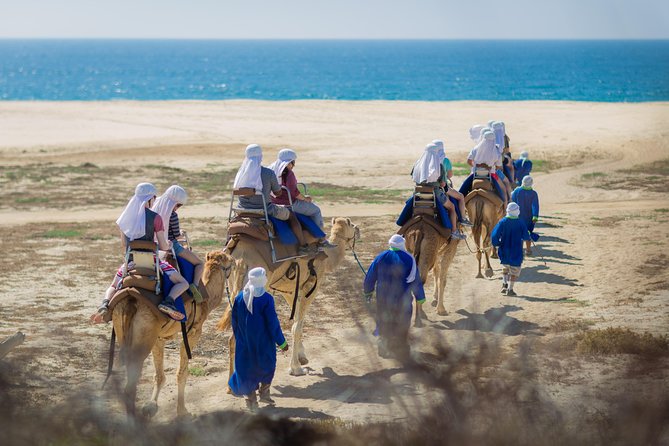 Cabo Beach Camel Ride, Mexican Buffet and Tequila Tasting - The Mexican buffet is a major part of the value