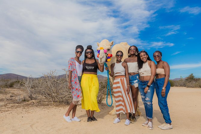 Cabo Beach Camel Ride, Mexican Buffet and Tequila Tasting - Who will enjoy this Cabo outing most