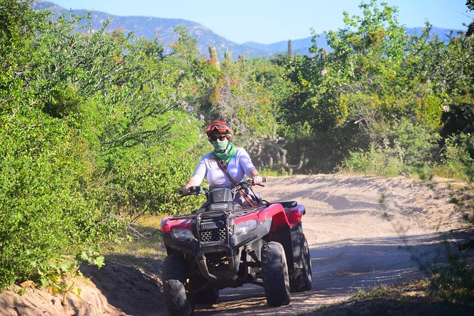 Cabo Candelaria Village Adventure + Tequila Tasting - La Candelaria adds a small village stop
