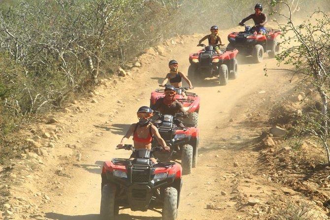 Cabo Candelaria Village Adventure + Tequila Tasting - Tequila tasting and what is clear about it