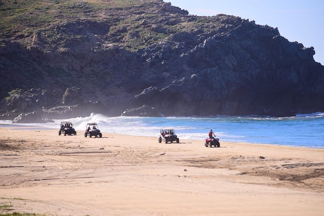 Cabo Candelaria Village Double UTV Adventure - From Playa Migrino to the Baja Mountains