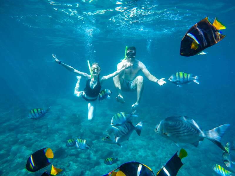 Cabo Catamaran Snorkel: Arch & Santa Maria, Open Bar, Snacks - Key points to know before you book