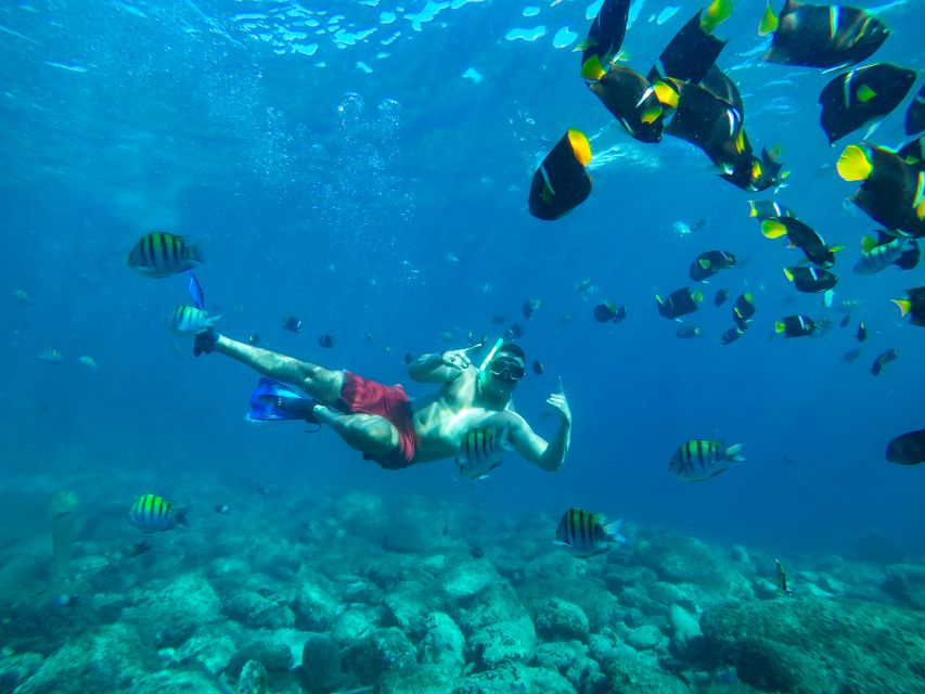 Cabo Catamaran Snorkel: Arch & Santa Maria, Open Bar, Snacks - Should you book this Cabo snorkeling cruise?